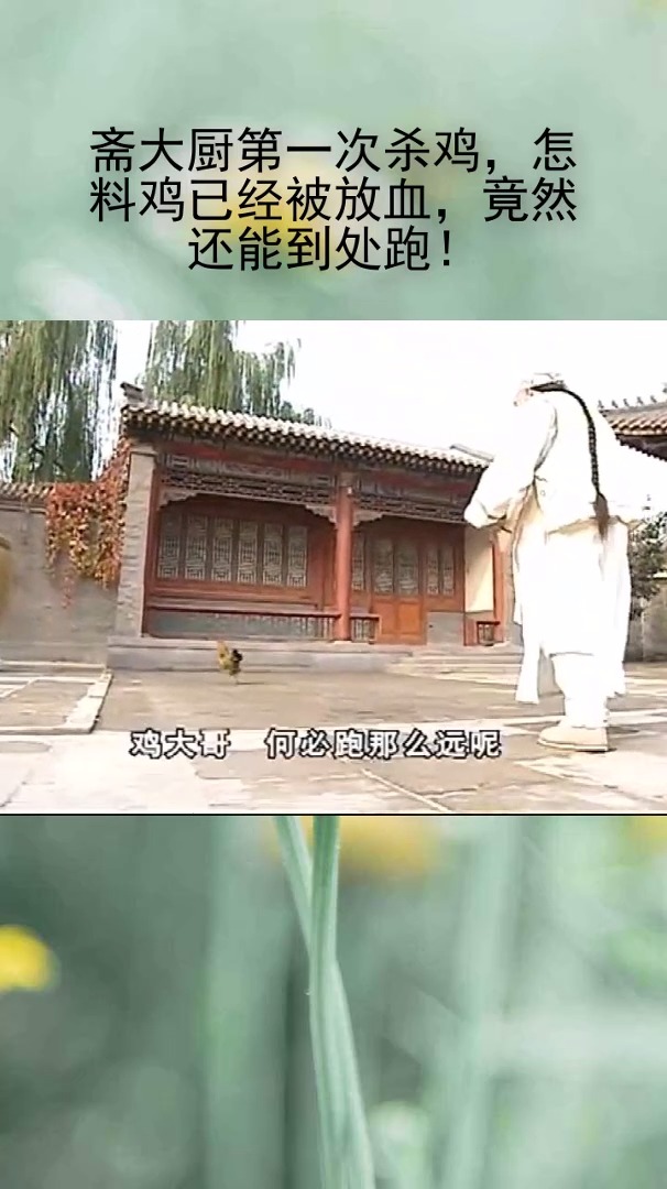 斋大厨第一次杀鸡,怎料鸡已经被放血,竟然还能到处跑!