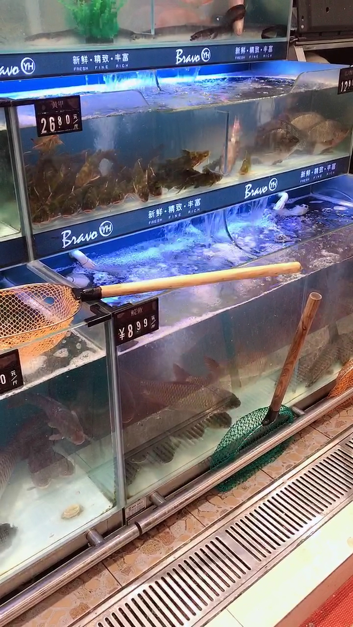 太阳鱼30元斤?
