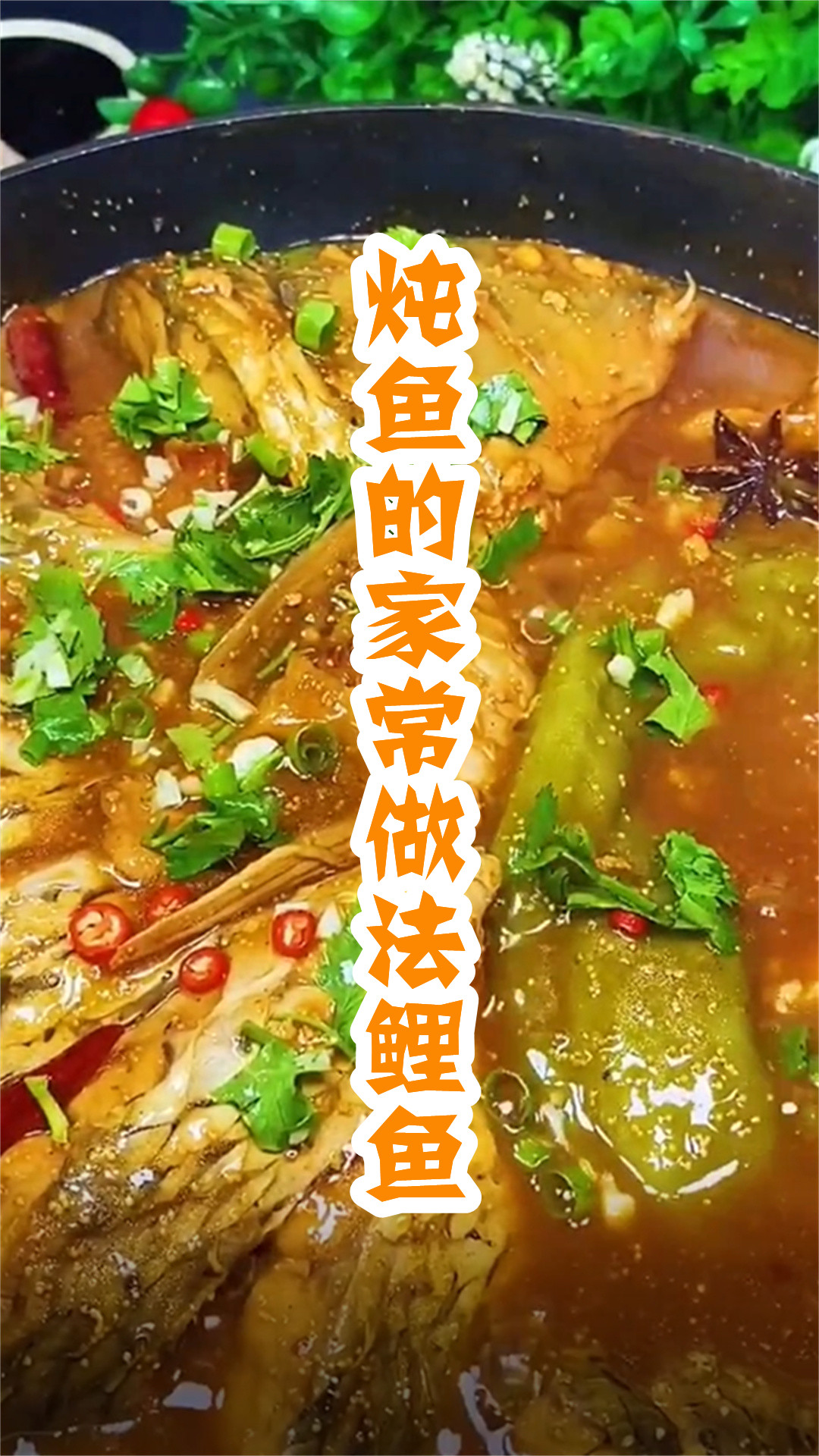 炖鱼的家常做法鲤鱼