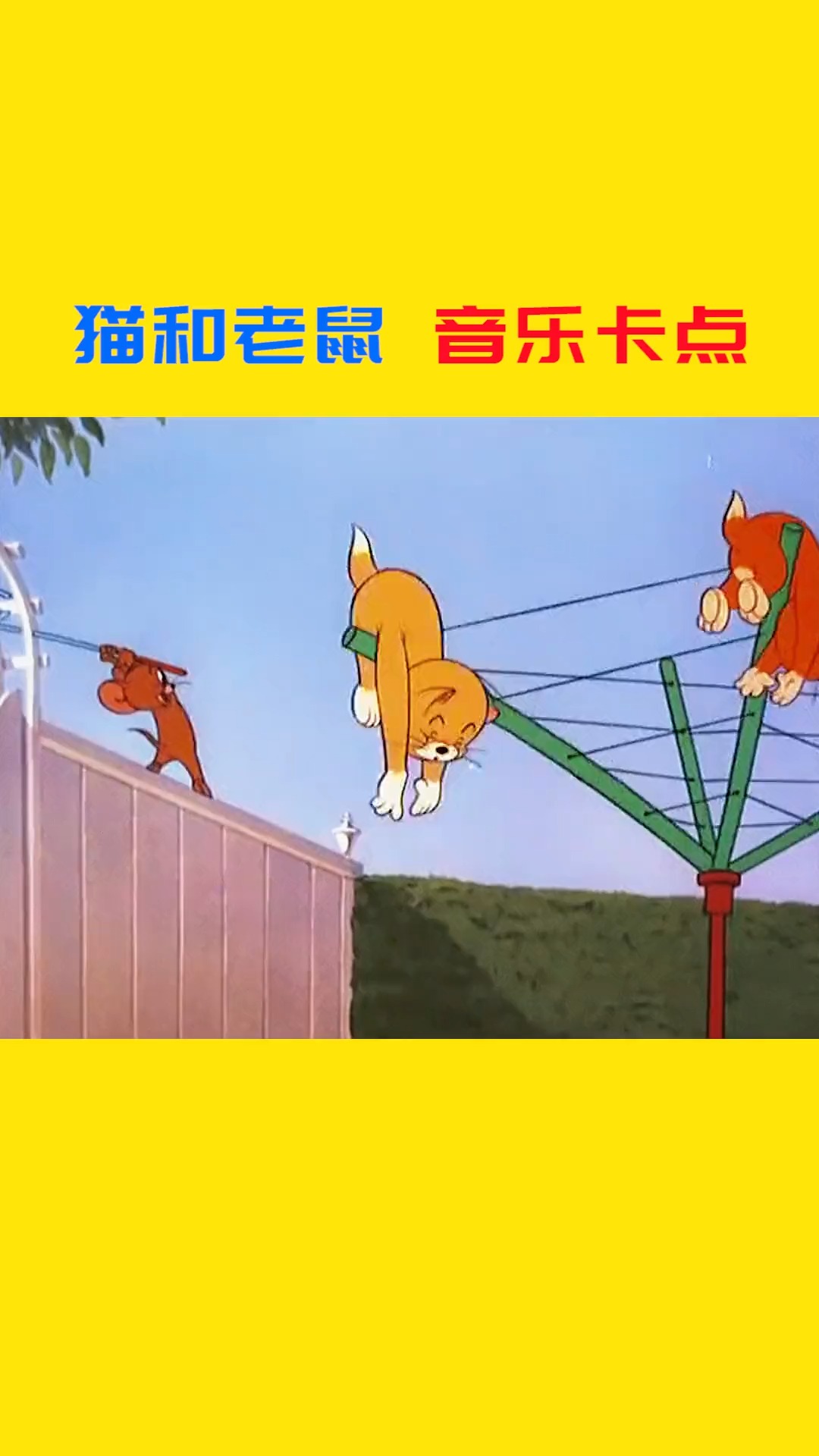 大～喵(风)～车?#猫和老鼠卡点 #搞笑视频 #汤姆和杰瑞