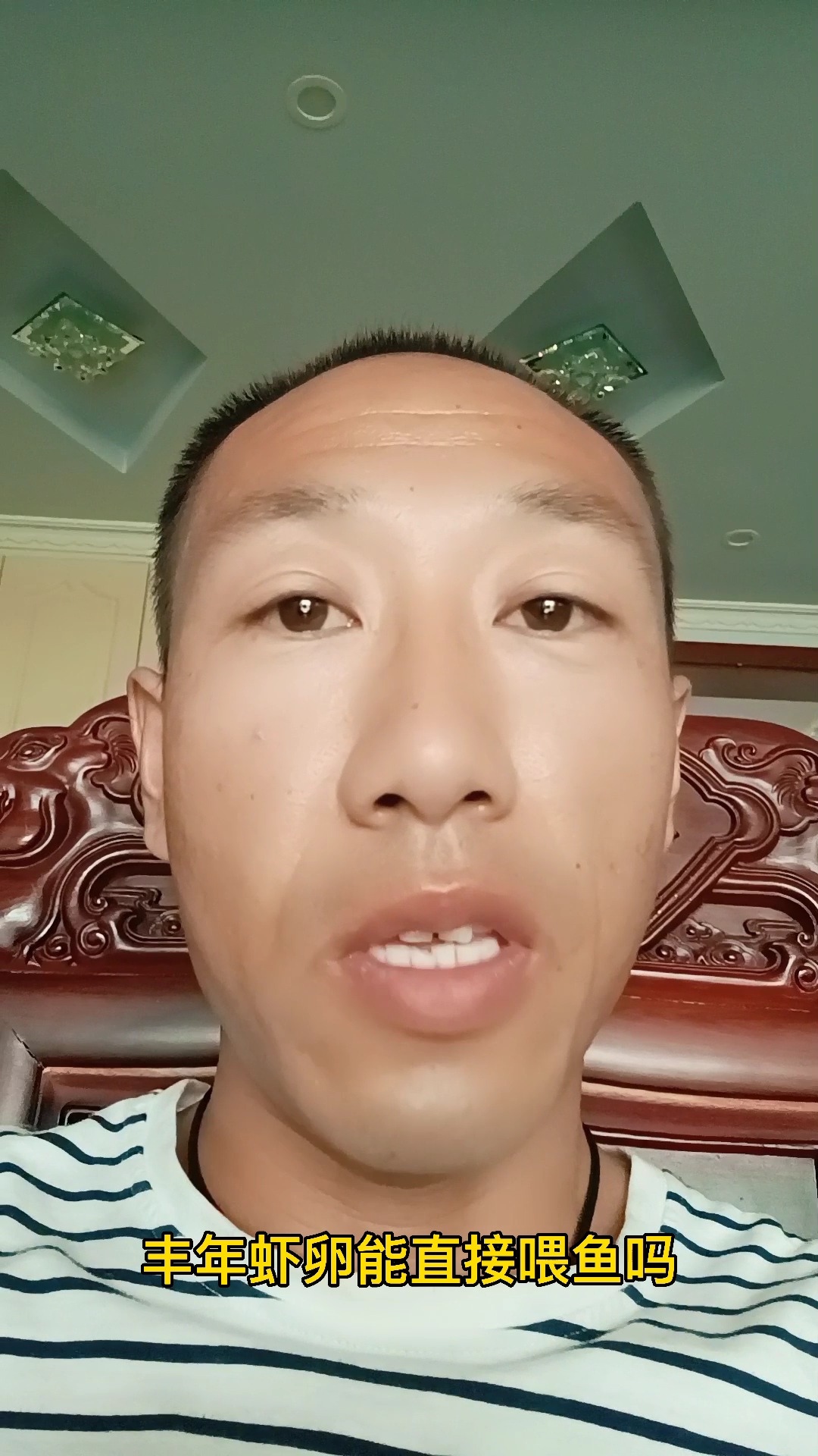 丰年虾卵能直接喂鱼吗