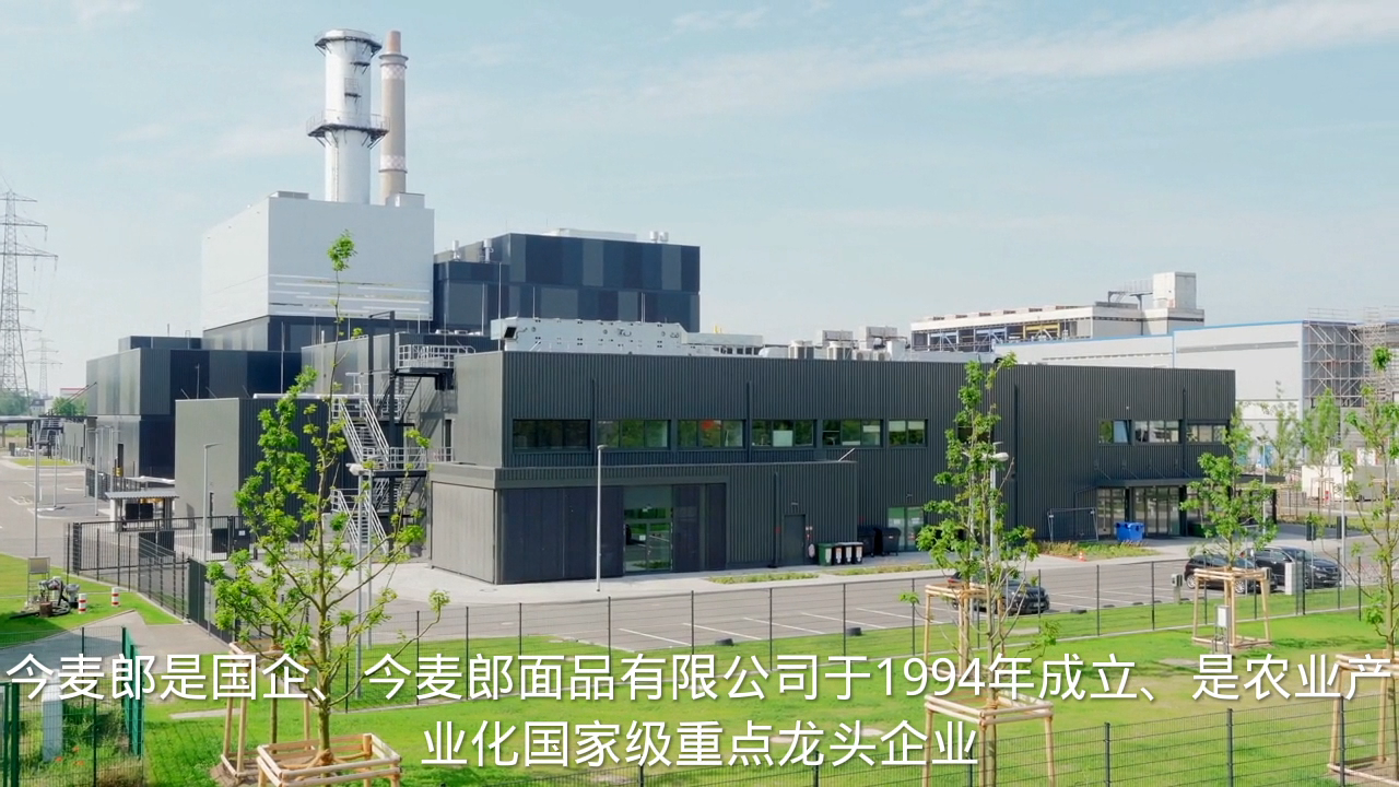 今麦郎是国企还是私企?