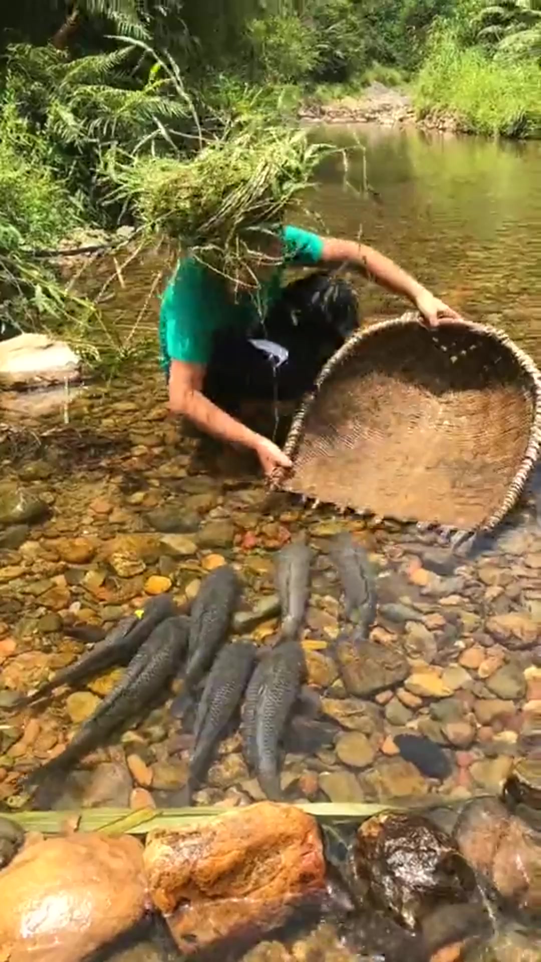 #搞笑段子#方法不对努力白费!用簸箕在水中捞鱼做晚饭,用力过猛最后却是损失殆尽!