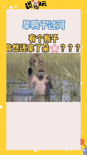 #搞笑段子#旱鸭子过河,有个猴子竟然还拿了朵花猴子搞笑