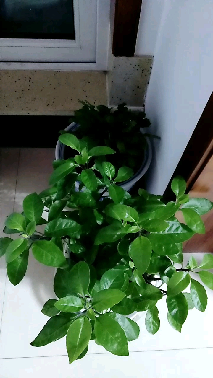 分享视频