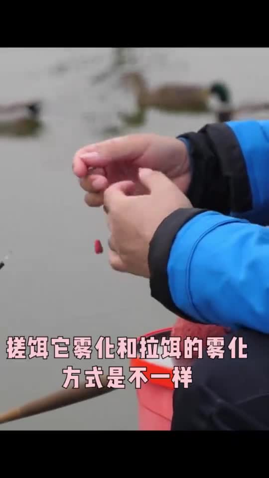 年年有大鱼垂钓那些事钓技钓法啥时分用拉饵啥时分用搓饵这是个疑问
