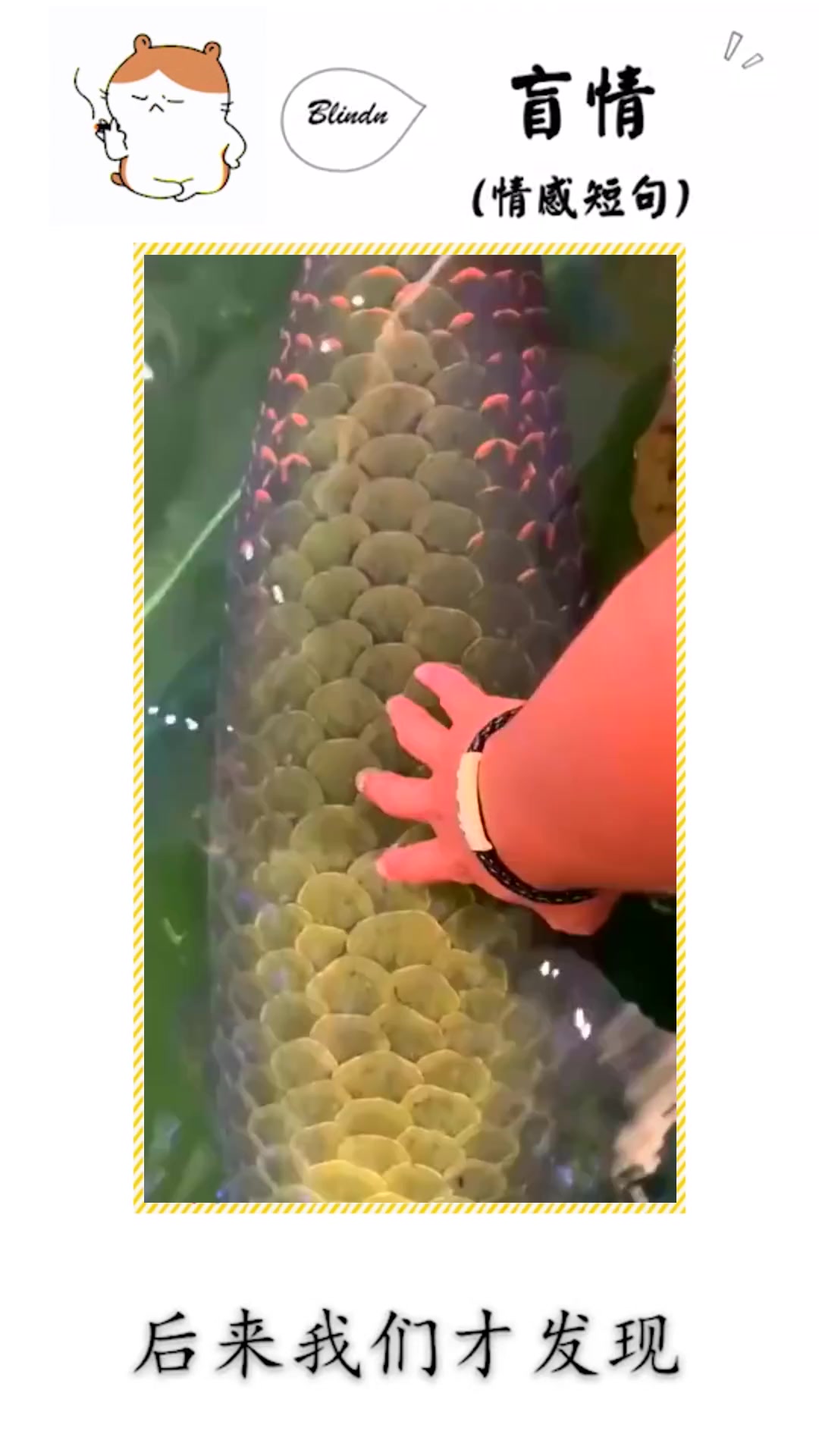 #搞笑段子#养了十年的鱼塘只剩一条鱼，大家有没有人认识
