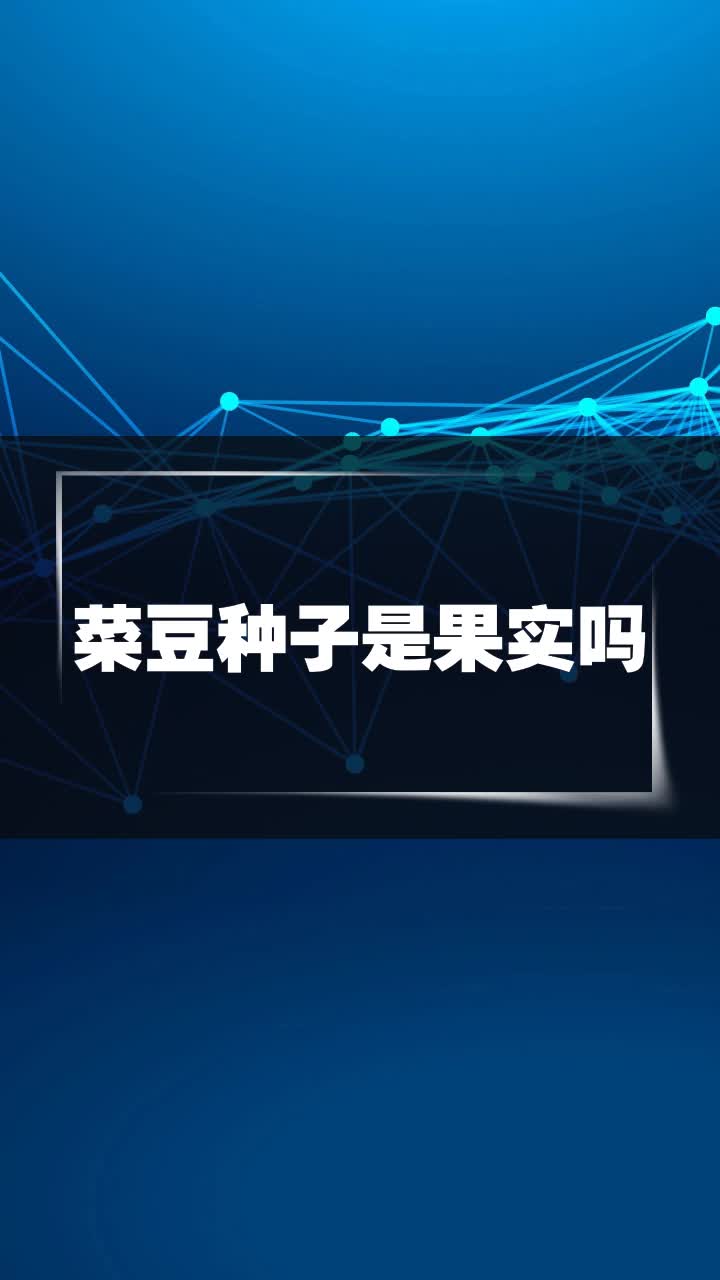 菜豆种子是果实吗