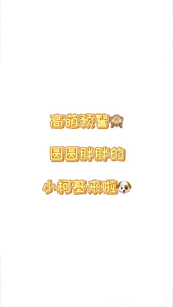 今天来画个超可爱的柯基吧简笔画,,