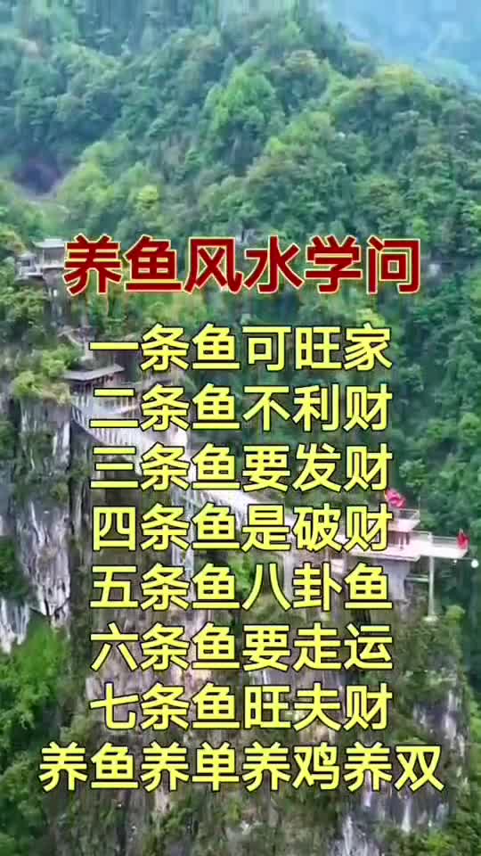 千万要看,人生的路不好走,你悟到了吗