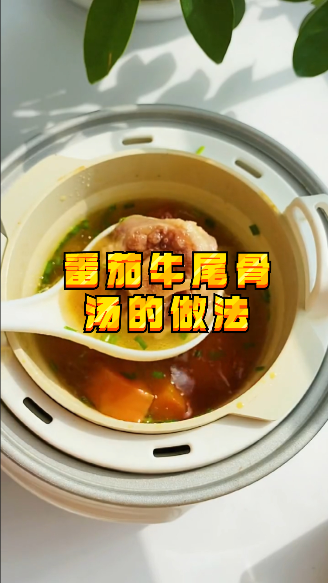 番茄牛尾骨汤的做法