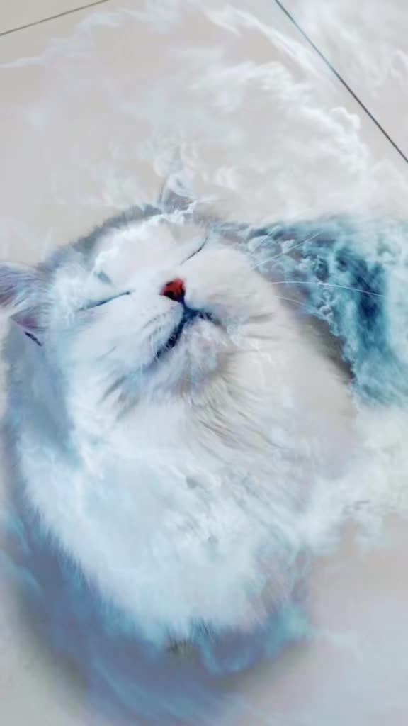 #我家萌宠成精了#你们要的壁纸双手奉上,感恩所有喜欢爆米花的小伙伴,谢谢你们的支持