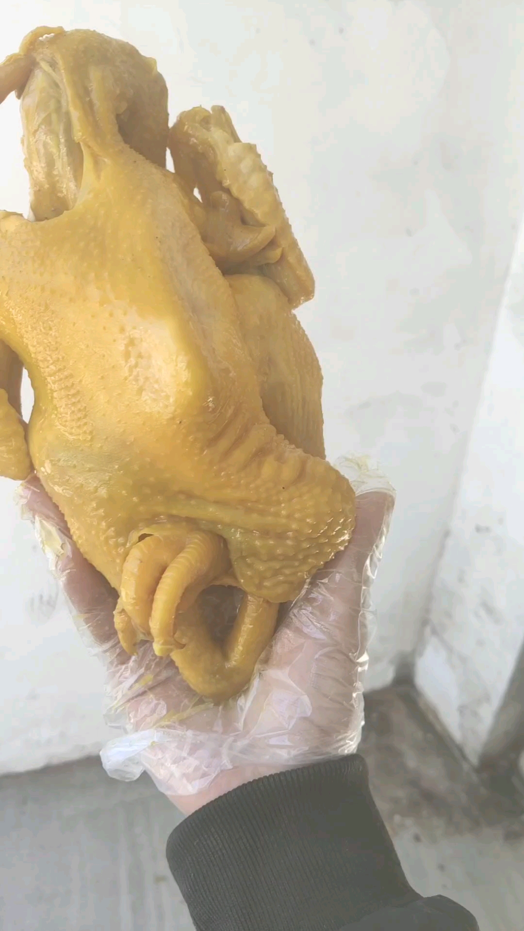 母鸡
