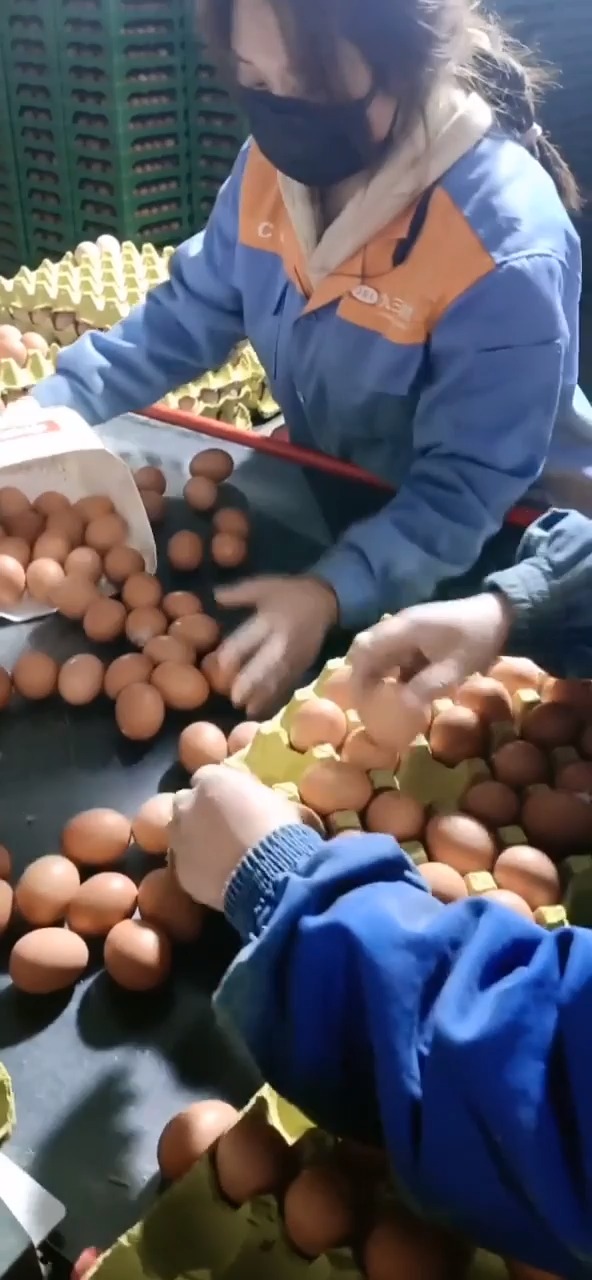 这办法把鸡蛋装盘,既快又不容易碎,劳动人民的智慧!