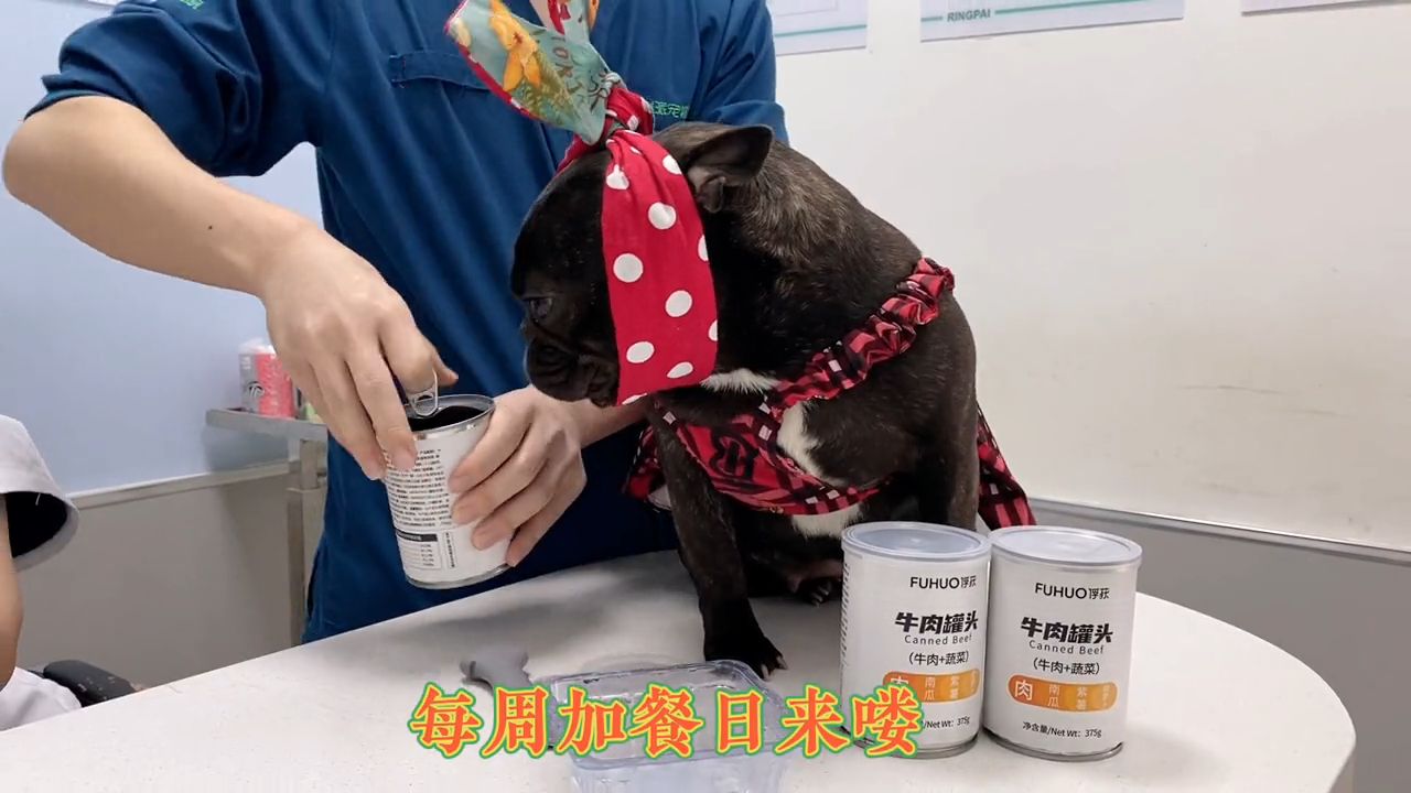 每周加餐 必备毛孩子最最爱牛肉果蔬罐头嘎嘎好吃咔咔香