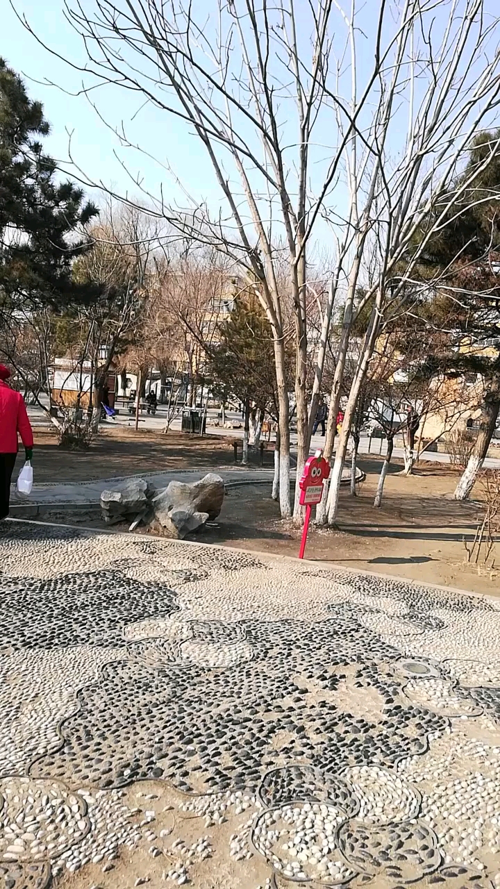 现在的公园还是光秃秃 最新鲜的就是这些标牌提示语了