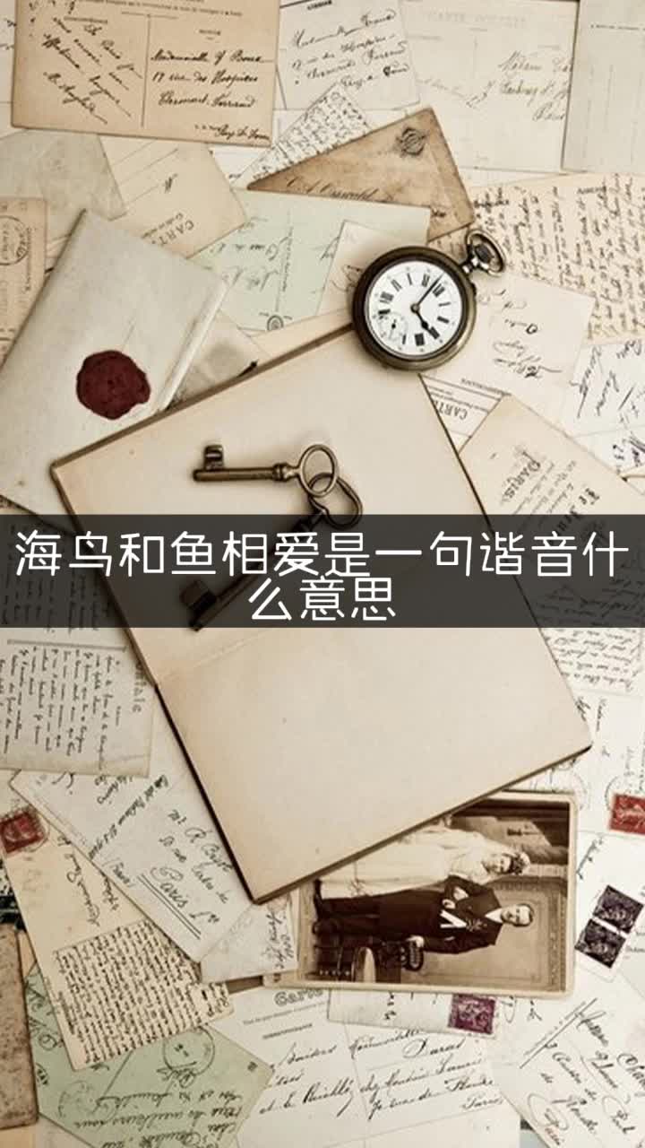 海鸟和鱼相爱是一句谐音什么意思