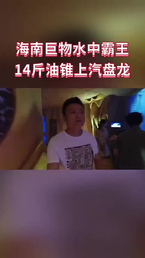 现在的美食博主都敢吃海洋生物了十四斤油锥形似盘龙,却被作成美食惹人馋