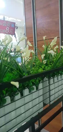 今天带宝宝和老公吃一顿老谭酸菜鱼汤,