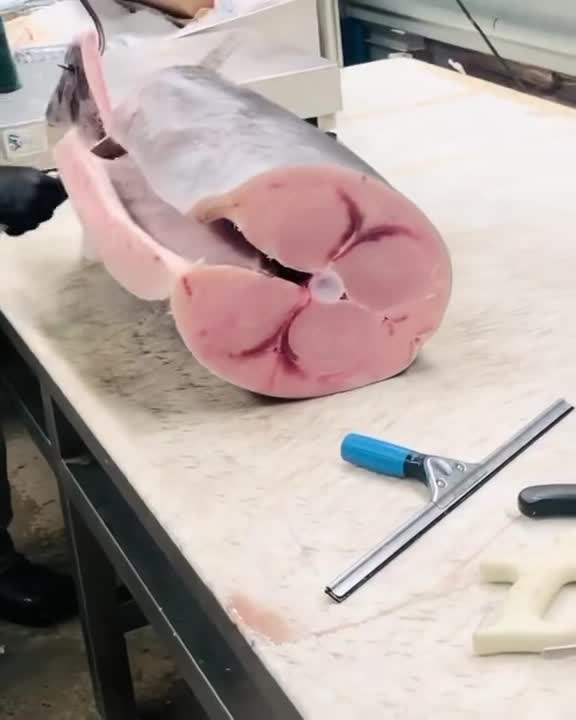 土豪吃的剑旗鱼,连边角料都不能浪费一点,不然老板炒鱿鱼