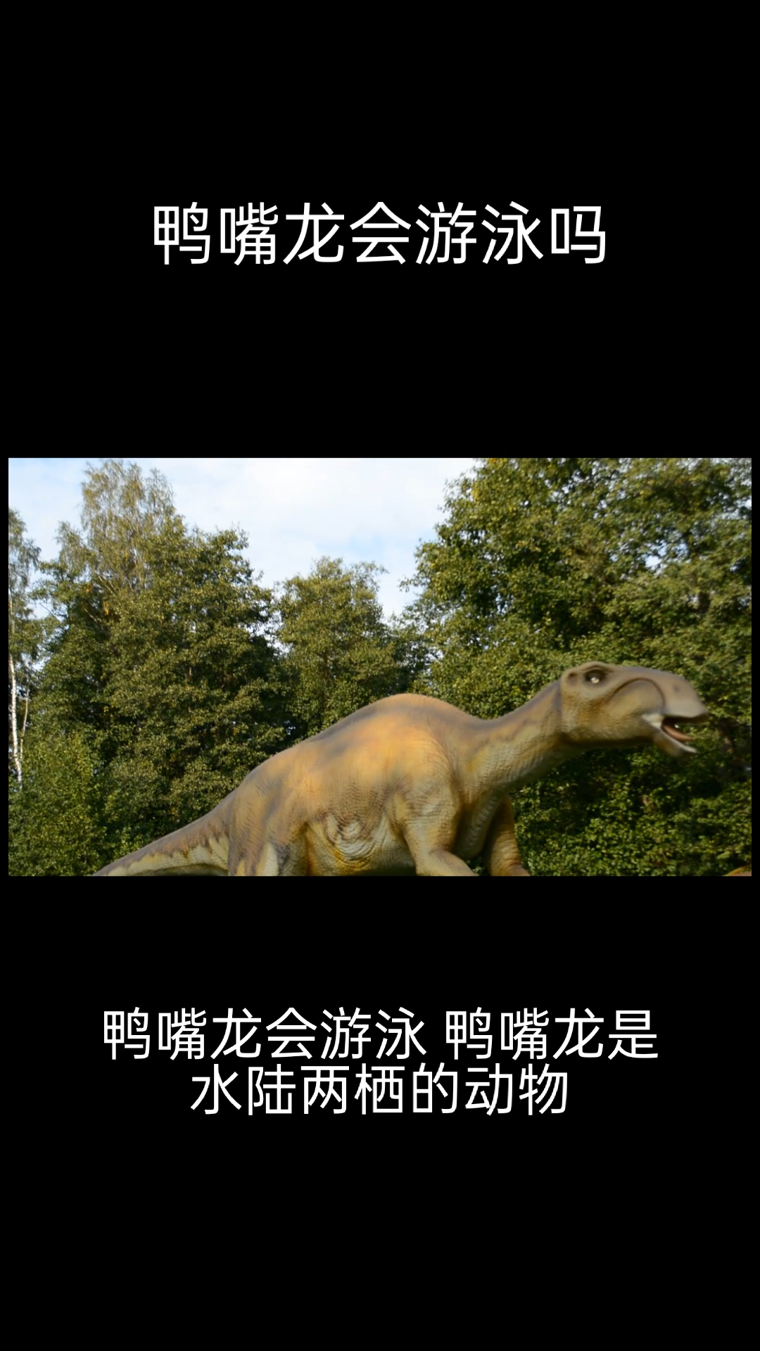 鸭嘴龙会游泳吗 