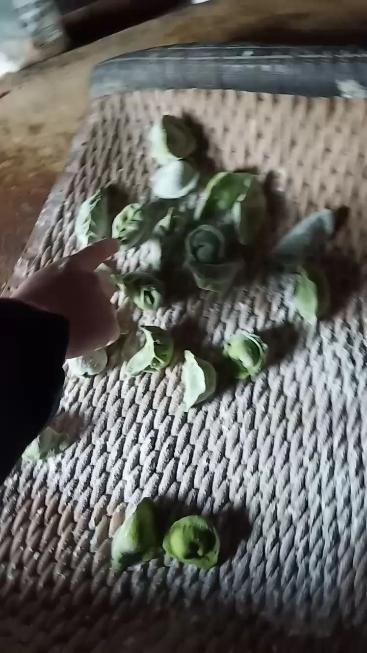 看果蔬小饺子,各种造型,有你喜欢的嘛