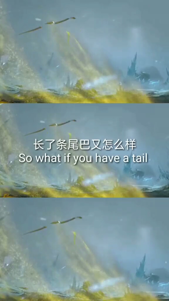 晚安,最后一份天天爱情,请查收