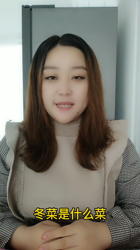 冬菜是什么菜  