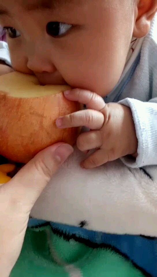 八个月的宝宝吃苹果了