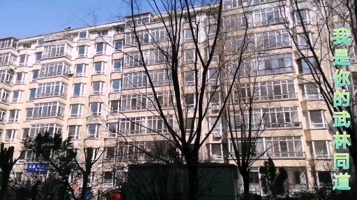 一颗小小的茶叶蛋