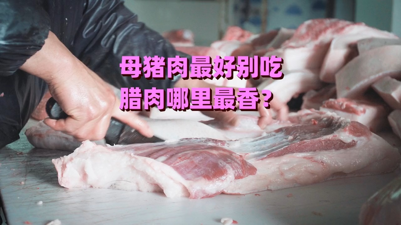 #传统文化#母猪肉到底能不能吃?