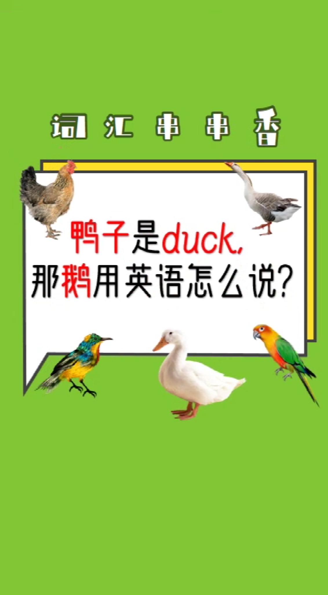 #英语#鸭子是duck,那“鹅”用英语怎么说