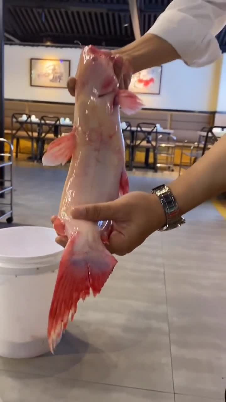 江团鱼也太好吃了吧