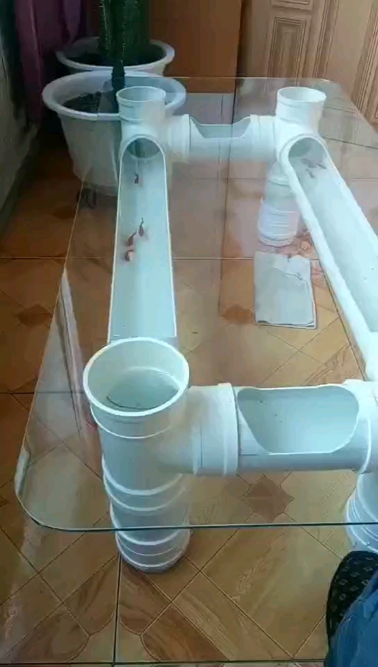 沼跃鱼
