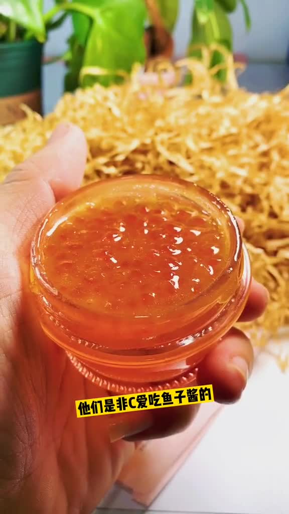 俄罗斯的鱼子酱顿顿吃?