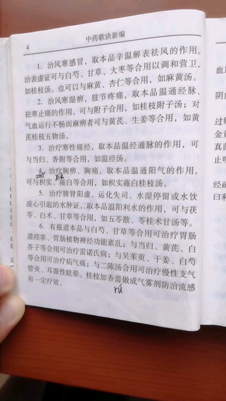 桂枝～