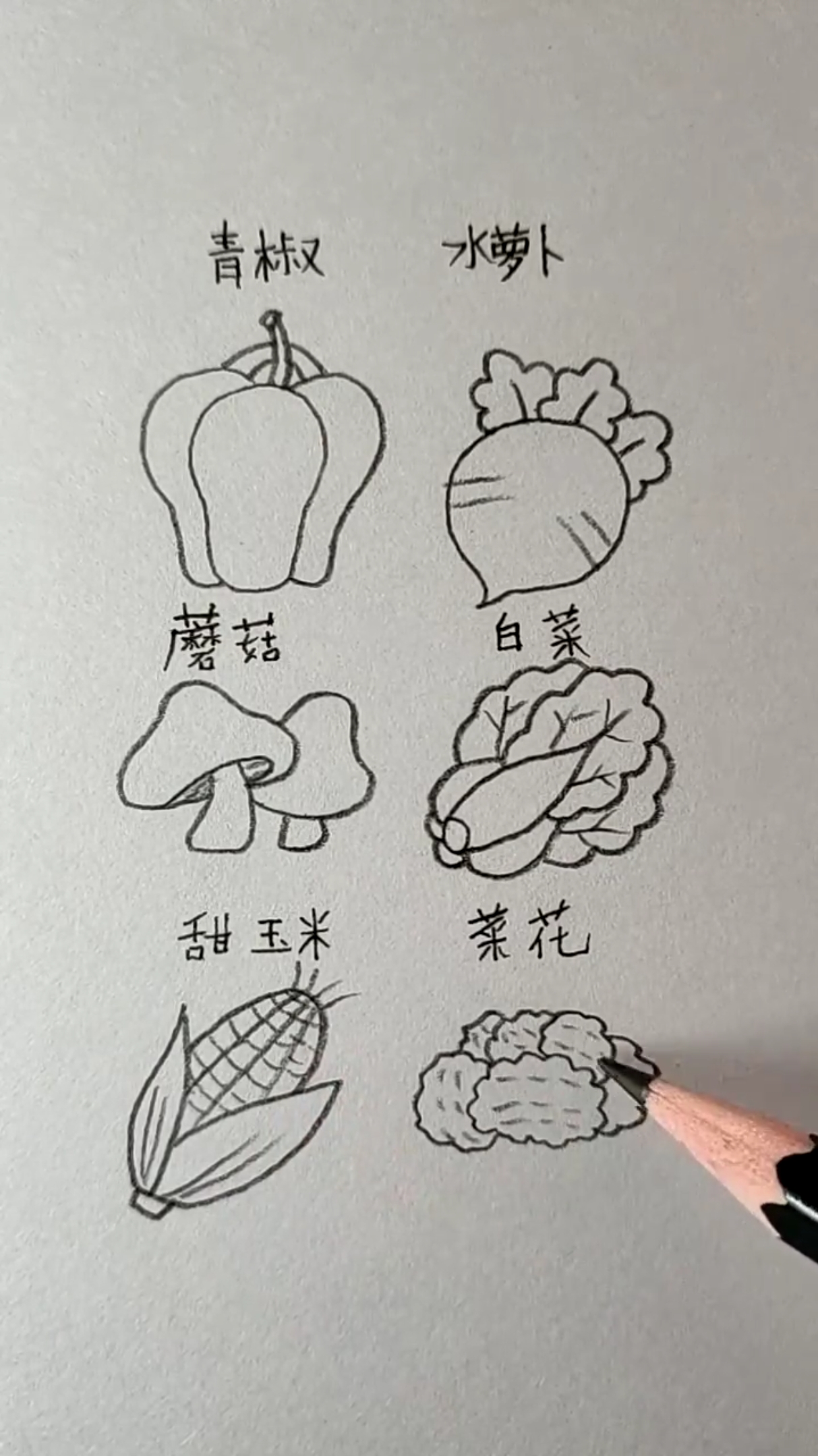 #创意简笔画#各种蔬菜的画法