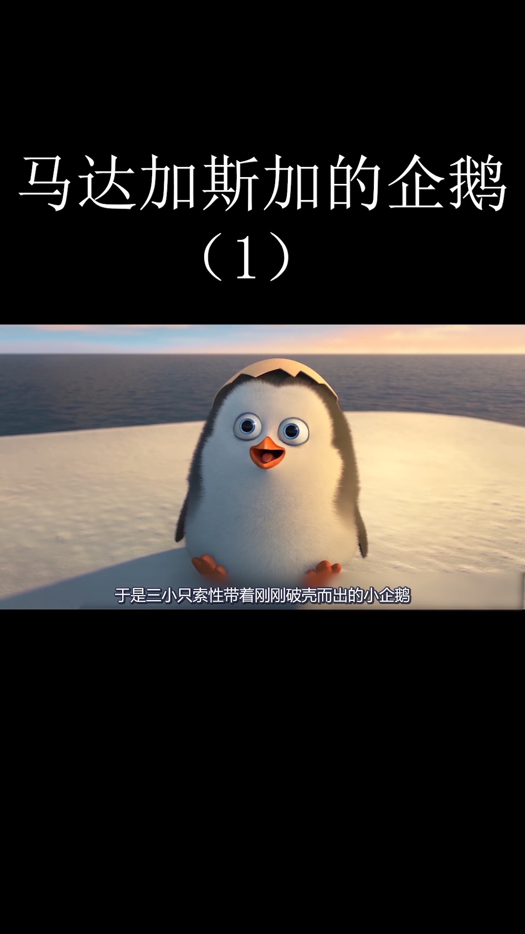 #好看电影#奇幻动漫《马达加斯加的企鹅》第一季