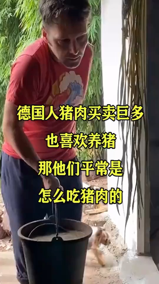 德国人猪肉买卖巨多,也喜欢养猪,那他们平常是怎么吃猪肉的