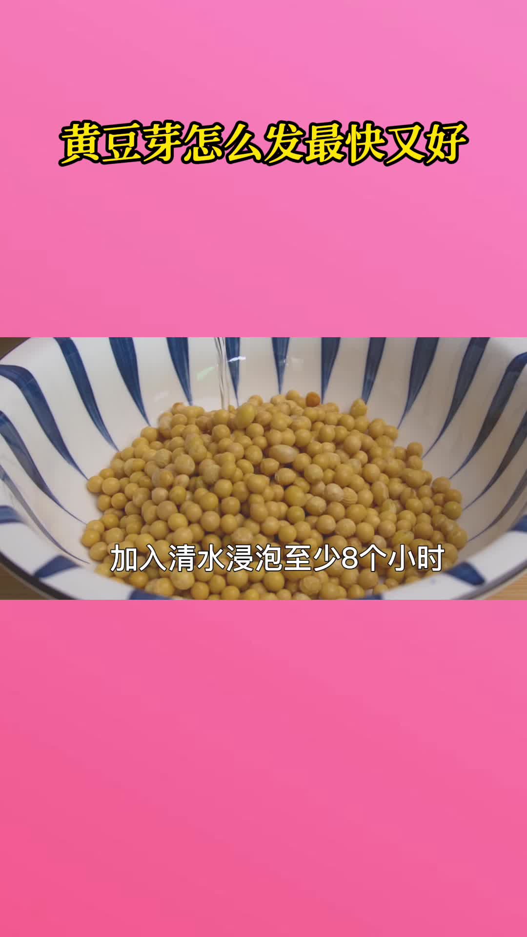 黄豆芽怎么发最快又好,大家跟我来一起看看吧