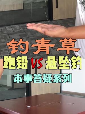 钓青鱼草鱼最佳钓法 跑铅or悬坠钓 你选对了吗?#钓鱼