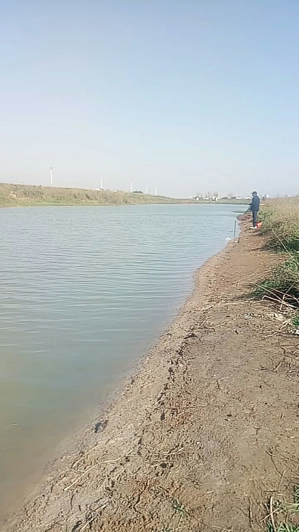 今天钓鱼的场景