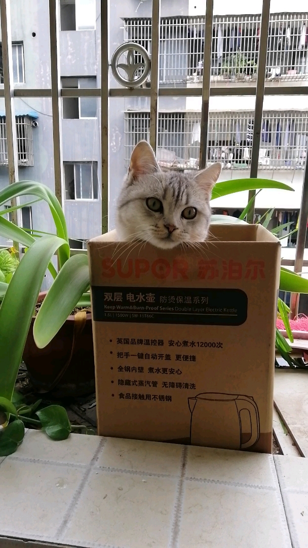 求小鱼干～