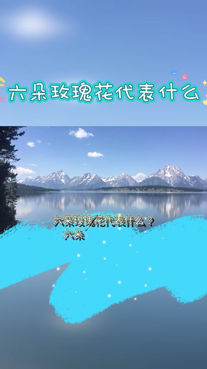 6朵玫瑰花什么意思