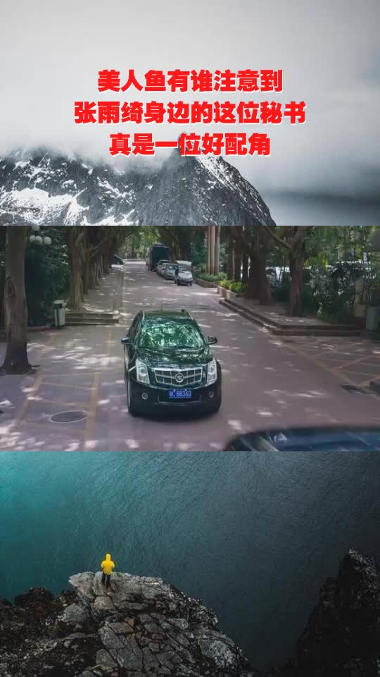 美人鱼有谁注意到,张雨绮身边的这位秘书,真是一位好配角