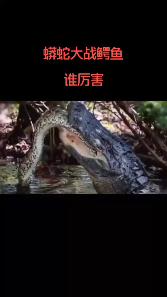 ....