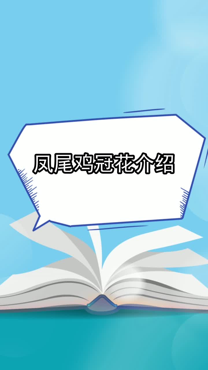 凤尾鸡冠花介绍,你清楚了吗
