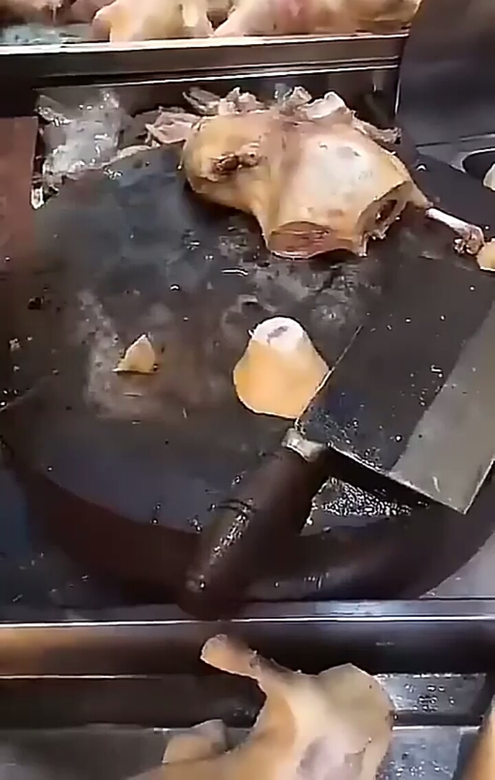 看明白了吗?鸡的第三条腿