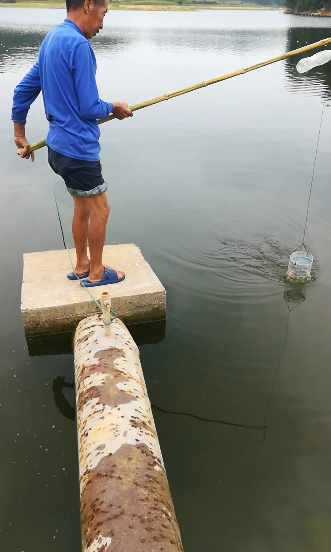 仔细看,抓到一条铜钱鱼,祝见者发财!
