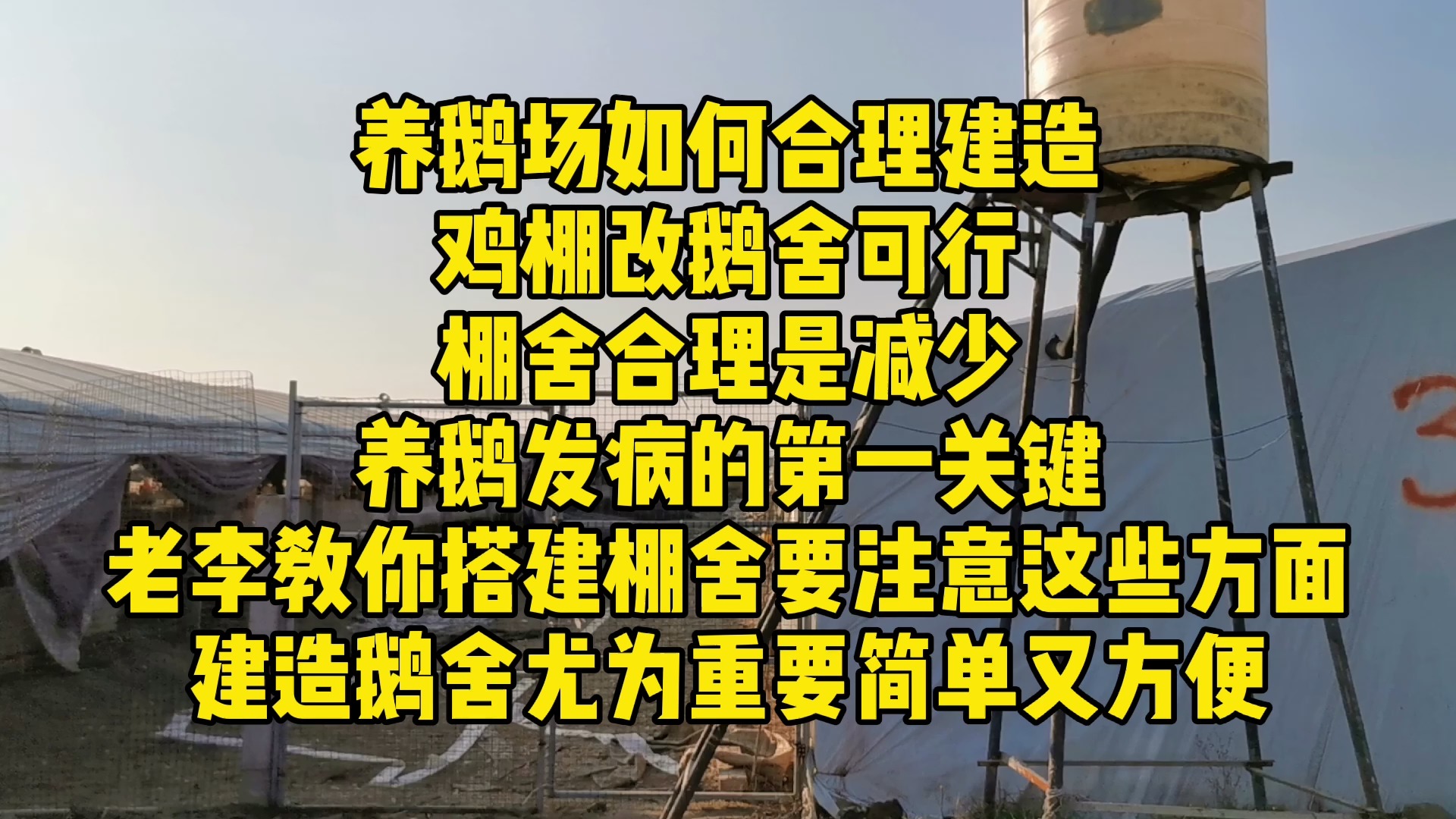养鹅场如何合理建造 鸡棚改鹅舍可行 棚舍合理是减少 养鹅发病的第一关键 老李教你
